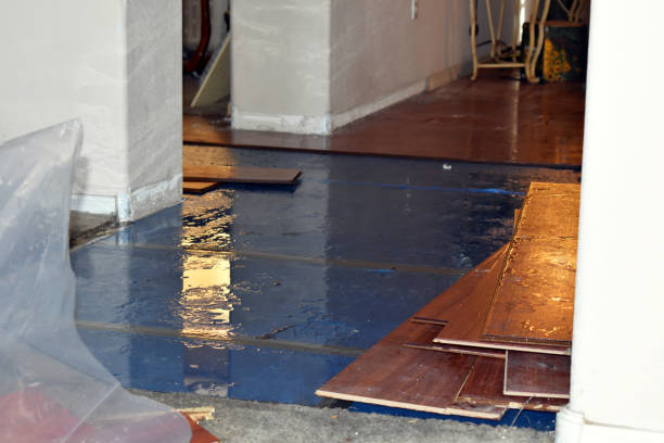 Professional Sewage Cleanup technician working in Central City, IA